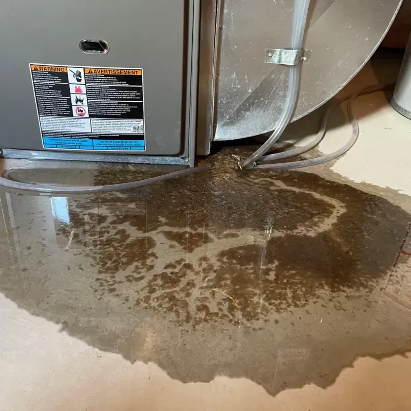 Appliance Leak Cleanup in Madison Center, CT